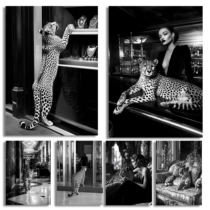 Black and White Fashion Magazi - Women'S Fashion Magazine review and price